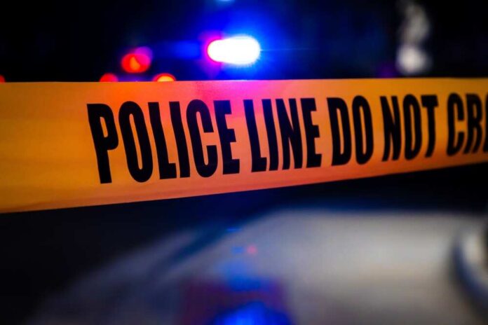 2408118125 featured image 13-Year-Old Charged with Murder: Examining Technology's Role in Youth Violence