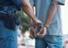 Global Manhunt Ends: Key Arrest Reveals International Police Cooperation in Murder Case