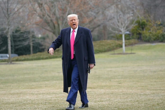 Person walking on grassy lawn with trees behind
