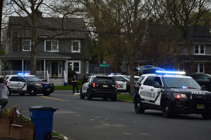 Police vehicles parked on suburban residential street