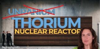 Unthinkable Shift: Denmark Eyes Nuclear Future