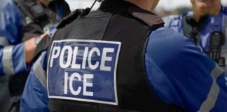 ICE CRUSHES Predator Ring — 118 ARRESTED!