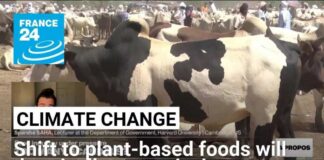 Shift toward more plant-based foods will drastically reduce