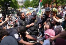 Refugee DESTROYS Protester — Sign Drops Immediately