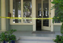 Wild Wolf ATTACKS Woman — Then Officials DO THIS Wild Wolf ATTACKS Woman — Then Officials DO THIS