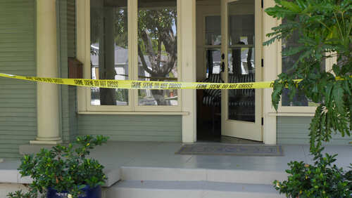 shutterstock_638801206.jpg Wild Wolf ATTACKS Woman — Then Officials DO THIS