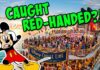 Disney Cruise Crew Arrested for Child Exploitation