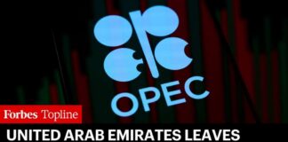 United Arab Emirates Leaves OPEC In Favor Of 'National