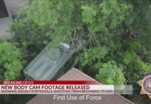 KCSO releases video of Porterville incident that left suspect, Tulare County detective dead