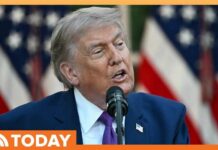 Trump Wins Big as His Endorsements Score Victories in Primaries