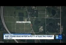 Baby found dead in porta-potty at Electric Forest