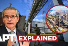 Zaporizhzhia Nuclear Plant Goes Dark for 12 Hours — Here's What Really Happened | APT