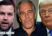 Epstein Files Fallout: NYT details Trump admin's 'freakout'