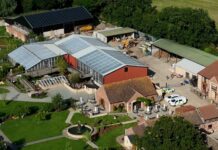 What Put a Toddler in a Croc Pit? Boy critically injured in crocodile incident at zoo as man arrested | SWNS