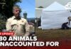 Gunshots, Graves Found at ‘No-Kill’ Haven More than 730 animals unaccounted for as investigators dig at Miranda’s Rescue property