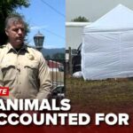 More than 730 animals unaccounted for as investigators dig at Miranda’s Rescue property