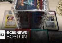 Man charged in theft of $100,000 in Pokémon cards from Massachusetts shop