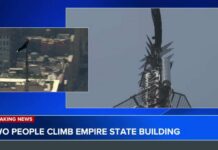 Empire State Deaths: Something Doesn’t Add Up Empire State Deaths: Something Doesn’t Add Up