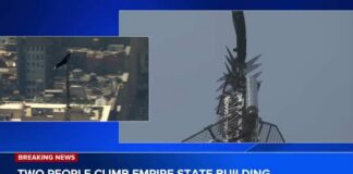 Empire State Deaths: Something Doesn’t Add Up