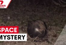 Hazmat Rushes Forrest Beach Mystery
