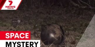 Hazmat Rushes Forrest Beach Mystery