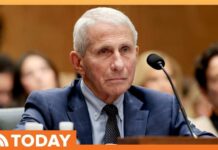 Fifth Amendment Frenzy Freezes Fauci Anthony Fauci Invokes Fifth Amendment at Heated Senate Hearing