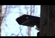 Candidate Admits Gunfire—Surveillance Fight Erupts U.S. congressional candidate is sent to jail for shooting at flock cameras amid rising controversies