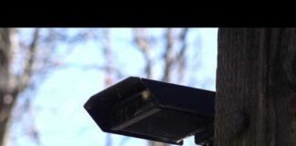 U.S. congressional candidate is sent to jail for shooting at flock cameras amid rising controversies