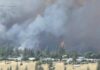 Inferno Shreds Spokane — Families Abandoned? Eastern Washington fires have burned 600 structures and forced the evacuation of 5,000 homes