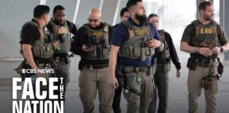 ICE airport arrests are climbing as Trump immigration crackdown intensifies