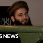 Self-described U.S. spy who infiltrated al Qaeda at risk of ICE deportation