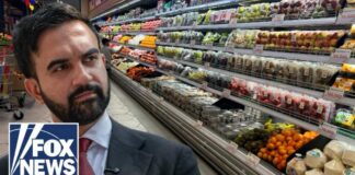 BODEGA BATTLE: NYC is getting SUED over government-funded grocery stores