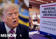 ‘The clock is running down': Trump appeals mail ballots ruling as states prepare for midterms
