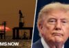 Gas Price Shock: Trump Summons Big Oil “We have no idea how the actual nuts and bolts of this would work”: Economist on Trump's oil deal