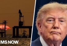Gas Price Shock: Trump Summons Big Oil “We have no idea how the actual nuts and bolts of this would work”: Economist on Trump's oil deal