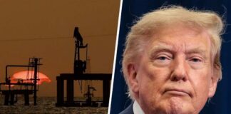 “We have no idea how the actual nuts and bolts of this would work”: Economist on Trump's oil deal