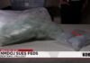 Fentanyl Walked—Who Signed Off? NMDOJ sues feds to access fentanyl records amid whistleblower complaints
