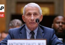 LIVE: Senate committee votes to hold Fauci in contempt of Congress