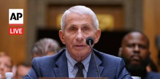 LIVE: Senate committee votes to hold Fauci in contempt of Congress