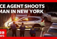 Seven Shots, A Child: What Really Happened? ICE agent shoots man in New York City | BBC News