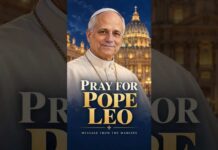 Pope Leo Announces Lung Surgery and Asks for Our Prayers