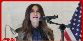 Guilfoyle pushed Trump donor to wire $100K to her: Report