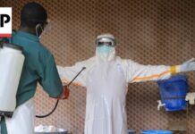 Ebola has spread from Congo to 4 other countries